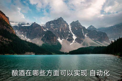 釀酒在哪些方面可以實現(xiàn) 自動化