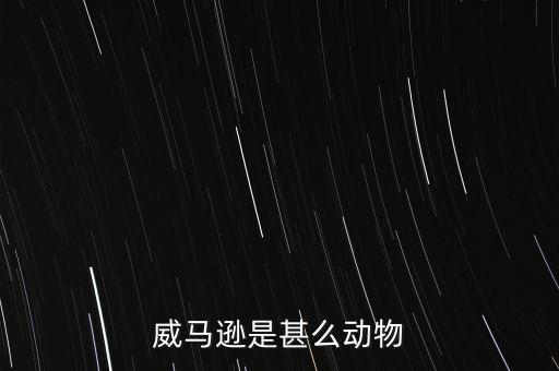 威馬遜，什么叫威馬遜