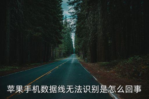 iphone沒(méi)有數(shù)據(jù)線,iphone沒(méi)數(shù)據(jù)線怎么充電?