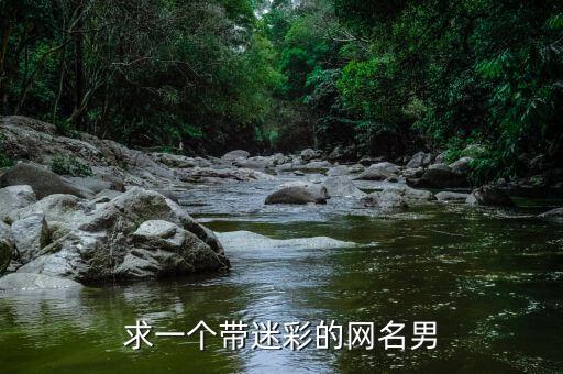 求一個帶迷彩的網(wǎng)名男