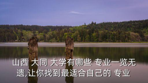 山西 大同 大學有哪些 專業(yè)一覽無遺,讓你找到最適合自己的 專業(yè)