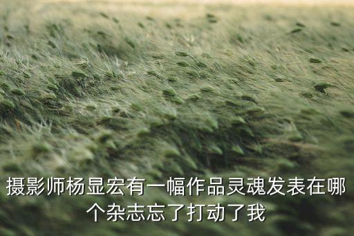 攝影師楊顯宏有一幅作品靈魂發(fā)表在哪個雜志忘了打動了我