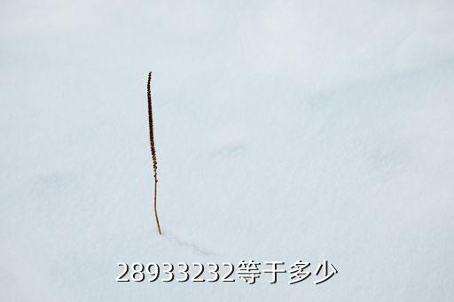 2893，用2893四個數(shù)字能組出幾組四位數(shù)數(shù)字