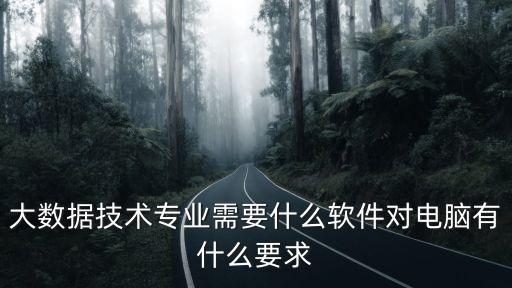 大數(shù)據(jù)技術(shù)專業(yè)需要什么軟件對(duì)電腦有什么要求
