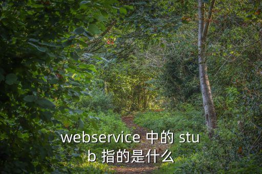 webservice 中的 stub 指的是什么