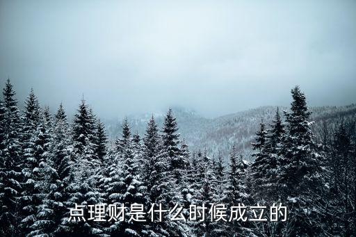 點(diǎn)理財(cái)是什么時(shí)候成立的