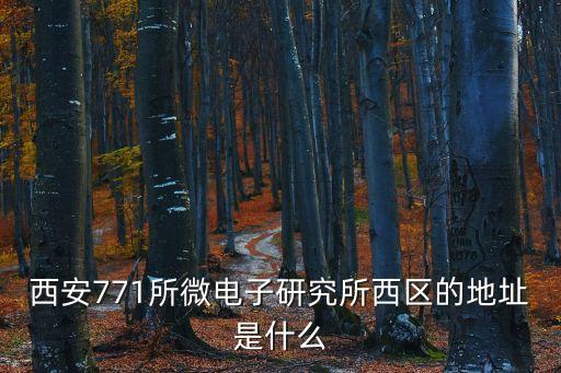西安771所微電子研究所西區(qū)的地址是什么