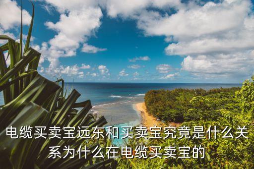 電纜買賣寶遠(yuǎn)東和買賣寶究竟是什么關(guān)系為什么在電纜買賣寶的