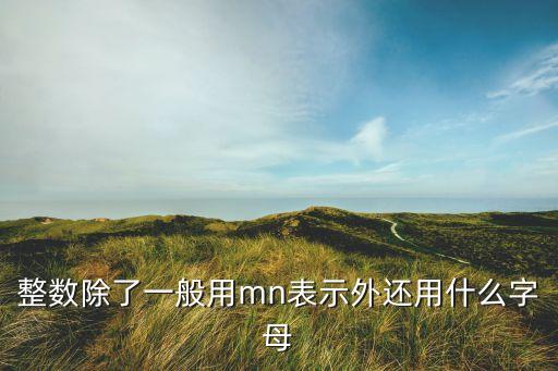 整數(shù)的符號，整數(shù)除了一般用mn表示外還用什么字母