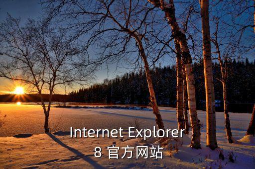 Internet Explorer 8 官方網(wǎng)站