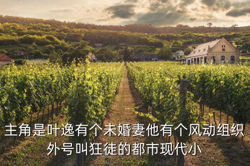 主角是葉逸有個(gè)未婚妻他有個(gè)風(fēng)動(dòng)組織外號(hào)叫狂徒的都市現(xiàn)代小