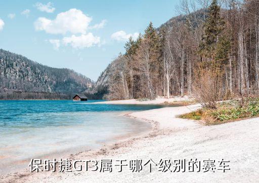 卡雷拉杯，911卡雷拉杯車手需要什么條件