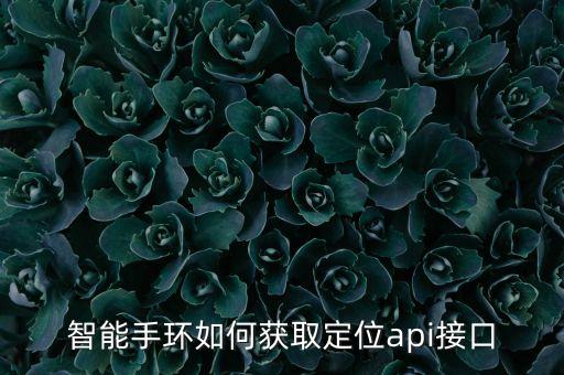 智能手環(huán)如何獲取定位api接口