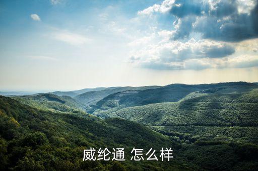 威綸通觸摸屏，威綸通 怎么樣