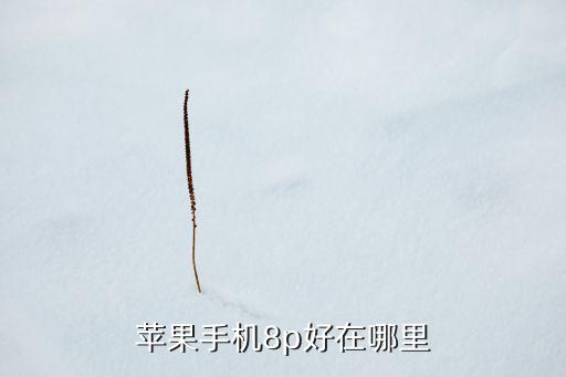 iphone8p，iphone8p 值得買(mǎi)嗎
