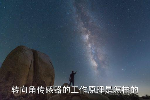 轉(zhuǎn)向角傳感器，請(qǐng)問(wèn)汽車方向盤角度傳感器有哪些啊