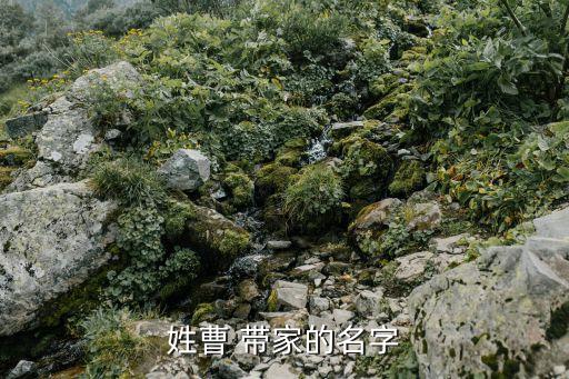 姓曹 帶家的名字