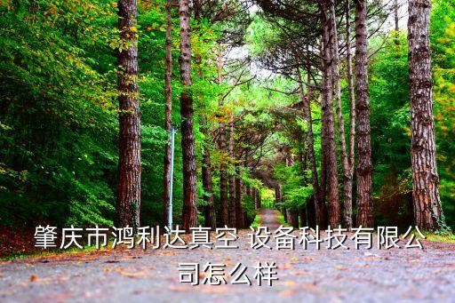  肇慶市鴻利達真空 設備科技有限公司怎么樣