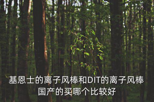 基恩士的離子風(fēng)棒和DIT的離子風(fēng)棒國產(chǎn)的買哪個(gè)比較好