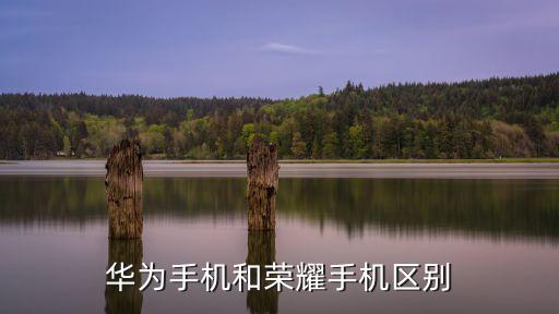 華為手機(jī)和榮耀手機(jī)區(qū)別