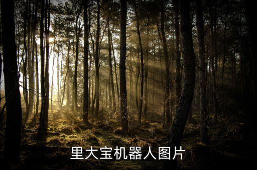 里大寶機(jī)器人圖片