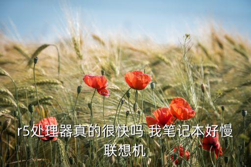 r5處理器真的很快嗎 我筆記本好慢聯(lián)想機(jī)