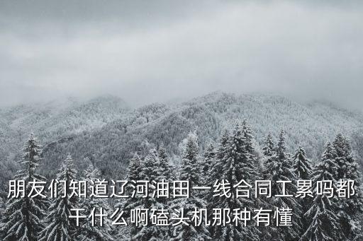 朋友們知道遼河油田一線合同工累嗎都干什么啊磕頭機那種有懂
