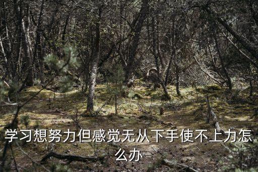 學(xué)習(xí)想努力但感覺無從下手使不上力怎么辦