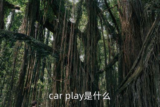car play是什么