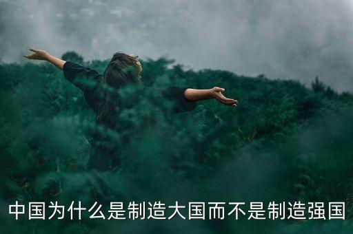 大國制造，中國為什么是制造大國而不是制造強(qiáng)國