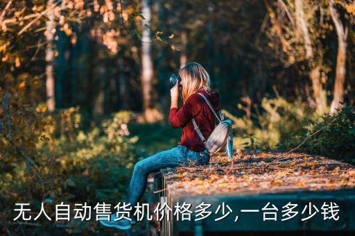 無人自動售貨機價格多少,一臺多少錢