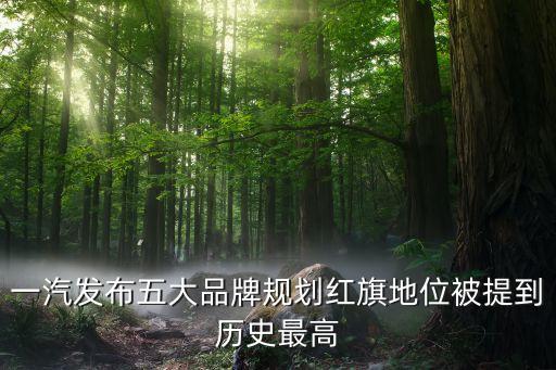 杭州紅旗電氣自動化,杭州杭開電氣有限公司歷史沿革