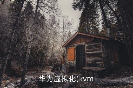 華為虛擬化 數(shù)據(jù)中心,華為接口虛擬化優(yōu)勢(shì)和特點(diǎn)如下五點(diǎn)
