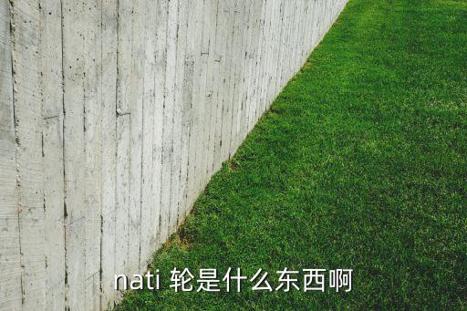 nati 輪是什么東西啊