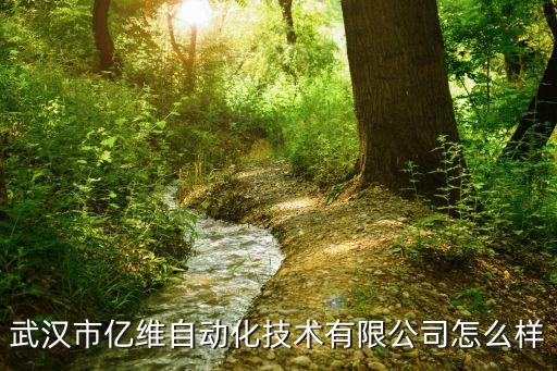武漢市億維自動(dòng)化技術(shù)有限公司怎么樣