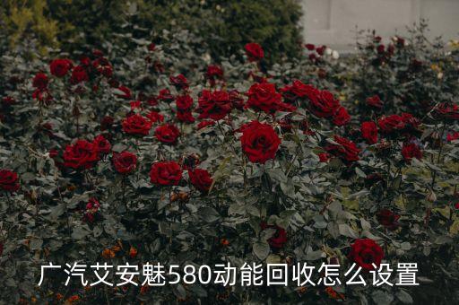 廣汽艾安魅580動能回收怎么設(shè)置