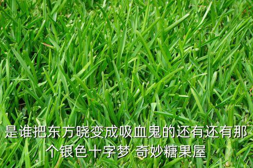 是誰(shuí)把東方曉變成吸血鬼的還有還有那個(gè)銀色十字夢(mèng) 奇妙糖果屋