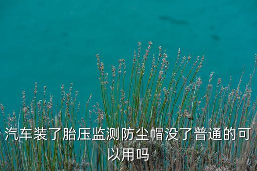 汽車裝了胎壓監(jiān)測防塵帽沒了普通的可以用嗎