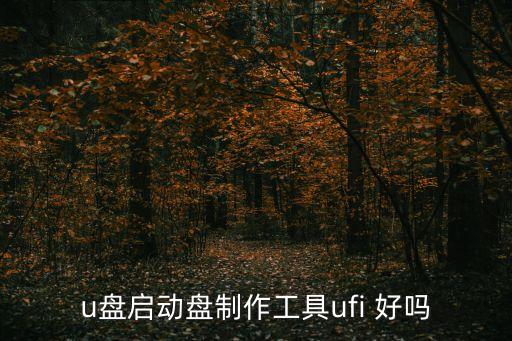 u盤啟動盤制作工具ufi 好嗎