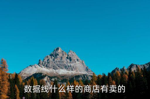 那里有做數(shù)據(jù)線,打印機數(shù)據(jù)線哪里有賣?