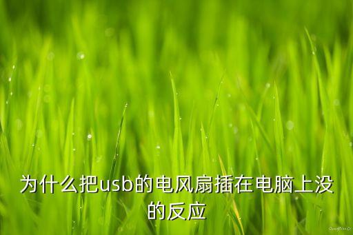 usb電風(fēng)扇，usb小電風(fēng)扇對(duì)電腦usb接口有害不