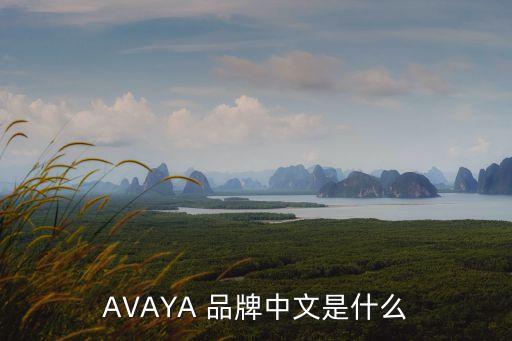 AVAYA 品牌中文是什么