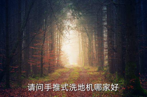 請問手推式洗地機哪家好