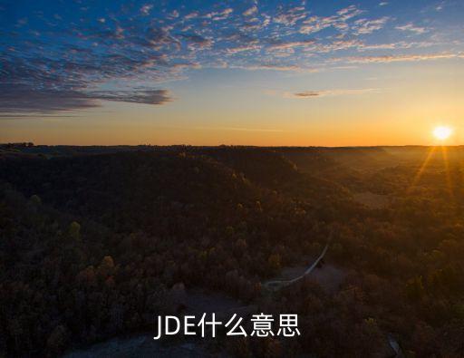 JDE什么意思