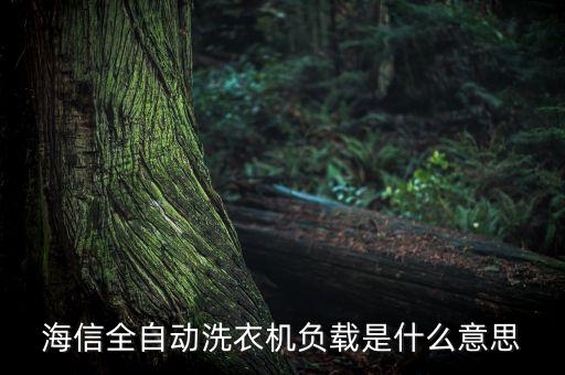 負(fù)載的意思，海信全自動(dòng)洗衣機(jī)負(fù)載是什么意思