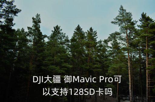 DJI大疆 御Mavic Pro可以支持128SD卡嗎