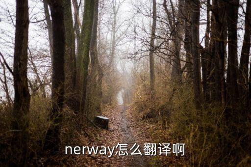 narwal，rowwen heze的bestel mar 歌詞