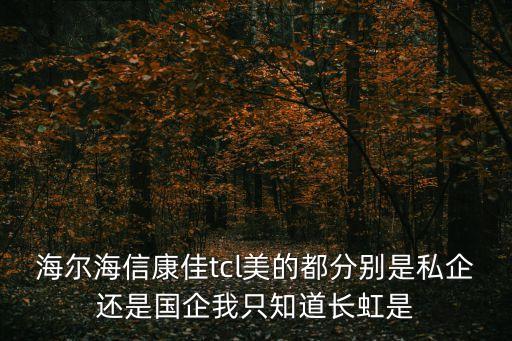 康佳是國企嗎，請問康佳集團的性質是國企還是私企