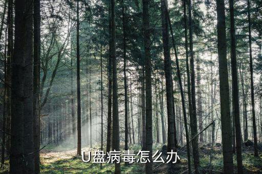 U盤病毒怎么辦