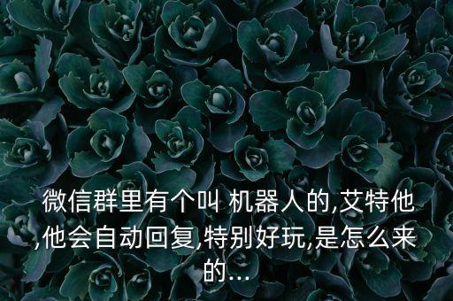 微信 機(jī)器人聊天,微信機(jī)器人聊天的套路大全